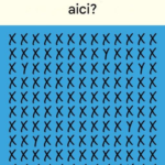 Doar oamenii cu ochi de vultur le vor găsi pe toate – Testul suprem al atenției și al observației Image 10