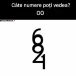 Iluzia detaliilor ascunse: testul numerelor care îți antrenează atenția și gândirea vizuală Image 11