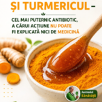 Miere și Curcuma – „Antibioticul Natural” Popular: Ce Spune Realitatea Științifică și Cum Poate Fi Folosit Corect în Viața de Zi cu Zi Image 13