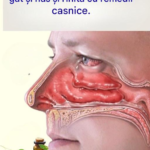 Mucus și congestie: remedii casnice eficiente pentru confort respirator și îngrijire zilnică Image 15