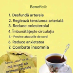 Frunzele de Dafin și Rolul Lor Real în Sănătate – Mituri Virale, Beneficii Posibile și Utilizări Corecte pentru Imunitate Image 17