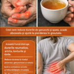 Cimbrul – Planta Aromatică Tradițională cu Beneficii Surprinzătoare pentru Organism Image 2