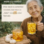 Usturoi cu Miere – Remediu Tradițional sau Tendință Virală? 20 de Moduri în Care Este Folosit pentru Bunăstarea Zilnică Image 21