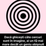 Testul Cercurilor Suprapuse: Iluzia Vizuală Care Îți Testează Atenția și Răbdarea Image 21