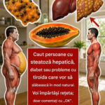 Papaya tropicală și secretele ei – Ghid complet pentru preparare, siguranță și utilizare corectă Image 21