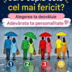 Care cuplu este cel mai fericit? Alegerea ta dezvăluie personalitatea ta în relație – test de personalitate bazat pe dinamica emoțională Image 24