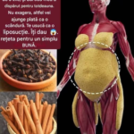 Frunza de dafin și scorțișoară – combinația puternică pentru echilibru, aromă și stare de bine Image 26