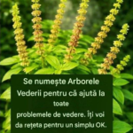 Arborele Vederii – simbol al percepției, naturii și misterului în tradiții populare și interpretări moderne Image 30