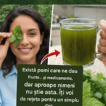 Arbori cu fructe și plante medicinale – între realitate, tradiții și mituri despre natura vindecătoare Image 31