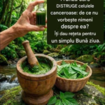 Frunzele utilizate în fitoterapie: ce spune tradiția și ce trebuie să știi cu adevărat Image 37