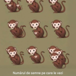 Testul Iluziilor Optice: Câte Maimuțe Vezi și Ce Spune Asta Despre Personalitatea Ta? Image 38