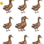 Dành cho những người có khả năng quan sát tinh tế – provocarea celor cu observație fină 👁️ Image 40