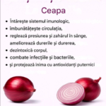 Usturoiul și Frunza de Mango: Combinația Naturală Care Atrage Tot Mai Multă Atenție Image 40
