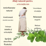 Mentă creață și rozmarin pentru durerile articulare – Remediul natural inspirat din tradițiile bunicilor Image 41