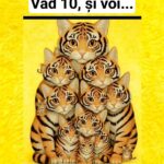 Provocarea „Eu văd 10 oameni. Tu câți vezi?” – Test de percepție vizuală și atenție la detalii Image 45