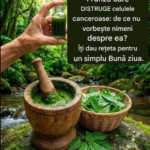 Frunzele „miraculoase” și afirmațiile despre vindecarea bolilor – ce este mit, ce este real și cum trebuie interpretate corect Image 46