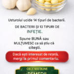 Usturoiul: între mitul „antibioticului natural” și realitatea științifică a sănătății moderne Image 46