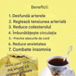 Frunzele de dafin și sănătatea – între beneficii reale, tradiție și mituri despre „imunitate uimitoare” Image 47