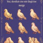 Numărul de porumbei pe care îi vezi dezvăluie cine merge alături de tine – un joc de observație și reflecție Image 47