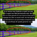 Semnul Mov Care Poate Înlocui Gardurile și Panourile: Legea Care a Uimit Proprietarii Image 5