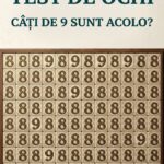 Test de atenție vizuală: Câte cifre 9 sunt ascunse în imagine? Image 53