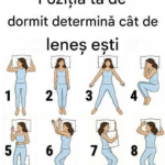 Poziția în Somn și Nivelul de Energie – Mituri, Realitate și Ce Spune Știința Image 55