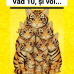 Provocarea Vizuală a Pisicilor: Eu Văd 10 Pisici, Dar Tu Câte Vezi? Image 6