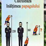 Cum Calculăm Corect Dimensiunea unui Balon – Ghid Complet și Practic Image 62