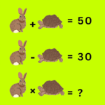 Provocarea Matematică Supremă – Cum Îți Antrenezi Mintea Prin Puzzle-uri și Ecuații Image 63