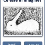 În imagine este un iepure sau o rață? Secretul iluziilor optice și al percepției vizuale Image 63