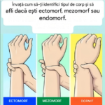 Ectomorf, Mezomorf sau Endomorf? Descoperă-ți tipul de corp și cum să-ți optimizezi potențialul Image 63