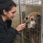 Argo – Adevărul care a rupt tăcerea Image 7