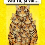 Provocarea vizuală a pisicilor: Eu văd 10 pisici, dar tu câte vezi?🐱🧠 Image 74