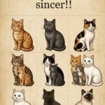 Eu văd 9, și tu? – Puzzle vizual cu pisici care îți testează atenția, logica și percepția detaliilor ascunse Image 8
