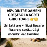 Enigma Familiei – Testul Logic care Păcălește 95% dintre Oameni Image 9