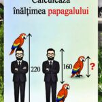 Reglementări logice culinare și misterul înălțimii papagalului în bucătăria analitică Immage 43