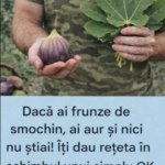 Frunzele de Smochin – Elixir Natural pentru Sănătate și Echilibru Metabolic Image 15