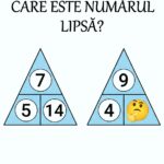 Ecuția Conformității în Siguranța Alimentară: Cum Rezolvăm Ecuația Matematică a Riscurilor și Ghidul Tehnic pentru Risotto cu Ciuperci de Pădure Image 17