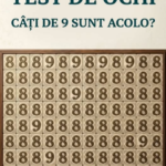 Test de Atenție Vizuală – Câte cifre 9 sunt ascunse în imagine? Image 20