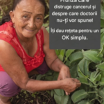 Echilibrul Nutrițional în Fața Dezinformării: Mitul „Remediilor Instant” și Protocolul Tehnic pentru Supă Cremă de Broccoli cu Ulei de In Image 20