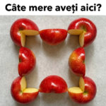 Metrologia Sistemelor de Numerotație non-Zecimală în Auditul Siguranței Alimentare: Tehnologia Aluatului Hidratat de Înaltă Precizie Image 28