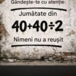 Arta Rezolvării Ecuațiilor: Ghidul Clarității Matematice și al Gândirii Logice Pas cu Pas Image 29