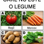 Alchimia Reglementărilor în Farfurie: Ești Capabil să Răspunzi la Aceste Întrebări Dificile Despre Structura Gustului? Image 30