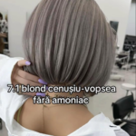 Blond Cenușiu Elegant și Natural – ghid complet pentru o culoare rafinată și îngrijire profesională Image 36