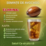 Avocado și Stilul de Viață Sănătos: Un Pas Mic pentru Nutriție, un Salt Mare pentru Bunăstarea Zilnică Image 38