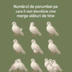 Sinergia Percepției Vizuale: Ce Ascunde Testul Porumbeilor și Rețeta Culinară pentru Sănătatea Ochilor și a Creierului Image 4