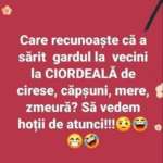 Amintiri dulci din copilărie – Cireșe, căpșuni, mere și zmeură: povești, tradiții și lecții de viață Image 54