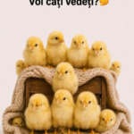 Desertul copilăriei fericite – provocarea delicioasă din bucătărie care îi face pe copii să ceară încă o porție Image 59