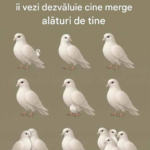 Numărul de porumbei pe care îi vezi: O ghicitoare vizuală despre atenție, percepție și interpretarea detaliilor Image 61