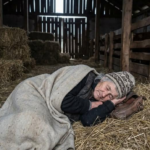 Nora mea m-a dat afară din propria mea casă și m-a obligat să locuiesc într-un vechi grajd de vaci — dar nu și-a dat seama CE urma să se întâmple Image 62